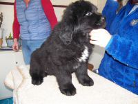 Isamu_Michio (1).JPG